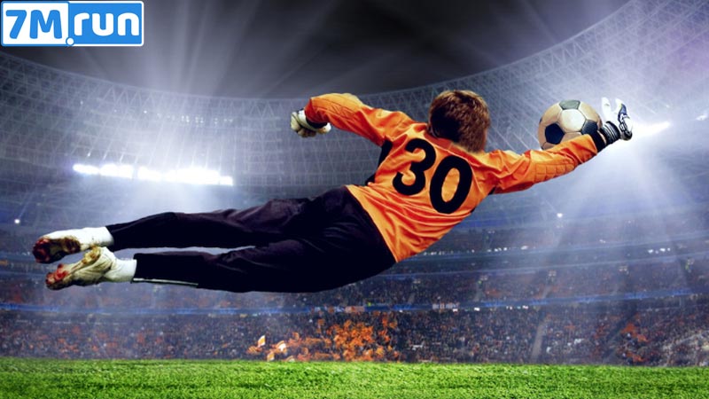 nhiệm vụ của gk
