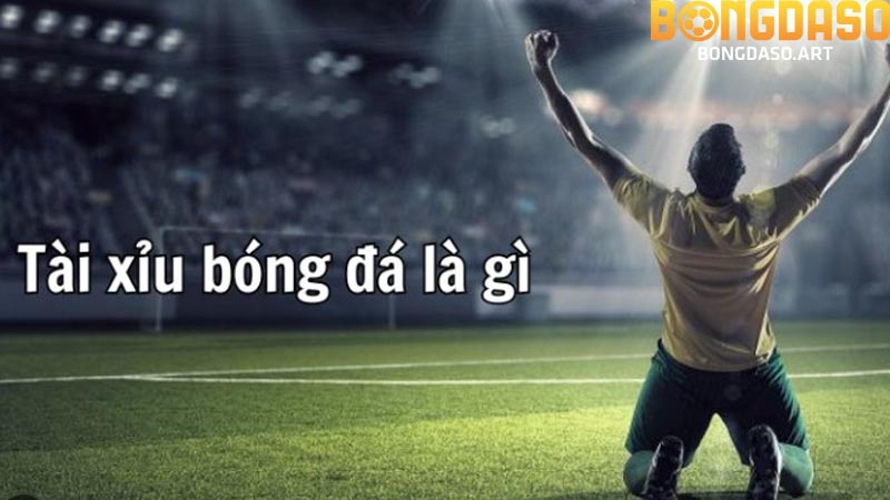 kinh nghiệm
